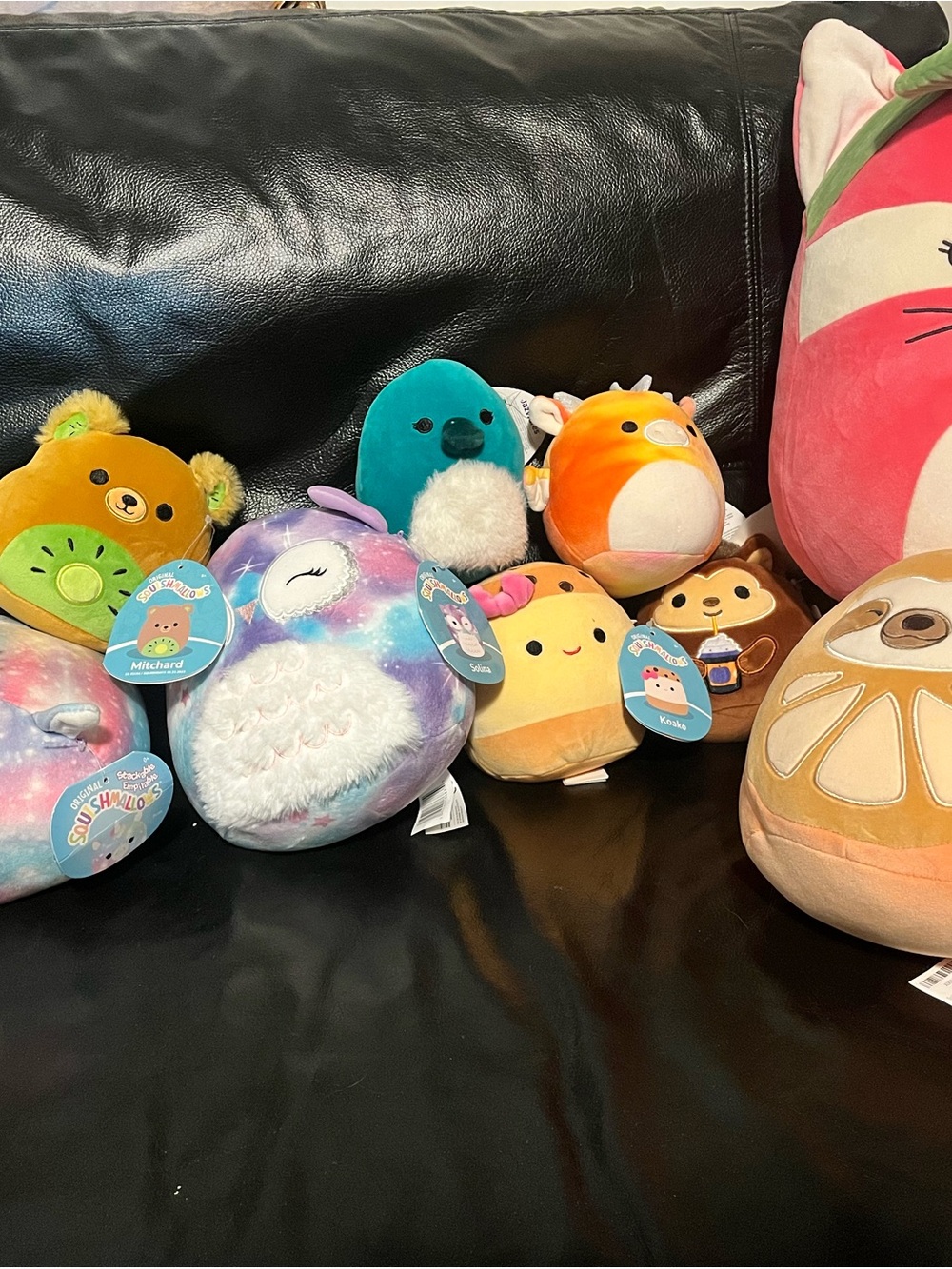 Squishmallows Plush Lot - Multicolor Cute Character Collection